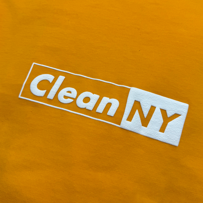 Clean NY Hood
