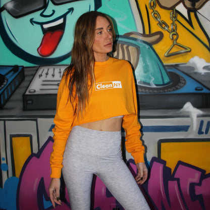 Clean NY Raw Hem Crop